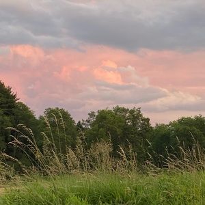 Meet your Posher, Malinda